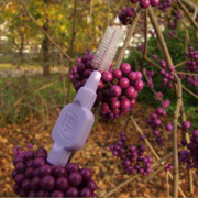 Interdentalbürste bei Zahnersatz / Brücke